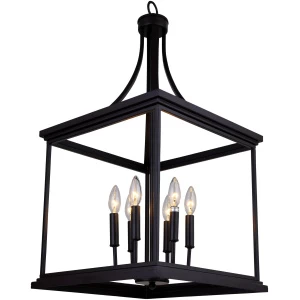 CG44 Black 6 Light 30" Cage