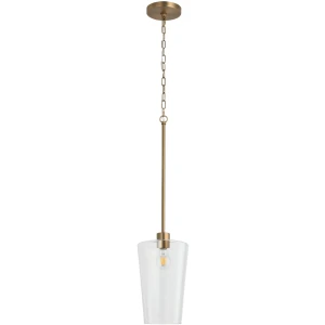 Gray 8" Burnished Brass 1 Light Pendant with Clear Glass